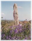 Carfury Menhir