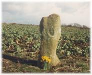 Trevorgans Menhir